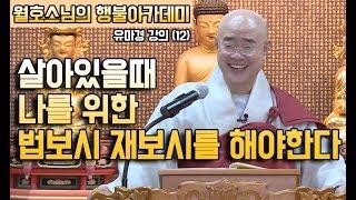 살아있을때 나를 위한 법보시 재보시를 해야 [월호스님의 행불아카데미 유마경강의 12회]