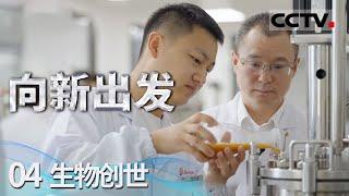 《向新出发》04 生物创世：焕新工业格局！生物制造技术 引领未来经济高质量发展！【CCTV纪录】