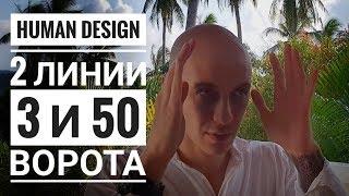 Дизайн Человека 3 и 50 ворота. 2 линии Даниил Трофимов. Human Design