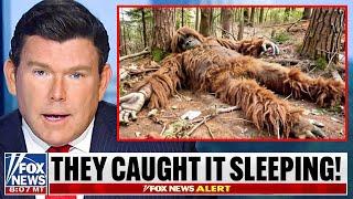 Expedition Bigfoot Researcher: "We Found Him!"