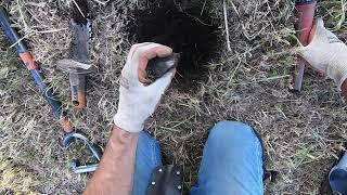 LIVE DIG ACTION!! Metal detecting in the dense iron at the State Fairgrounds.