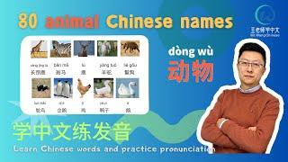 Commonly Used Chinese Words and Pronunciation Practice中文常用词和发音练习