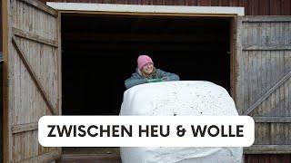 Zwischen Heu & Wolle - Unsere Schafe in Nordschweden