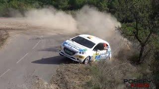 Lo Mejor de 2014 | Best of Rally 2014 by Porceyo Racing [HD]