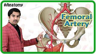 Femoral Artery Anatomy Animation - Origin, Course, Branches and relations | Dr G Bhanu Prakash