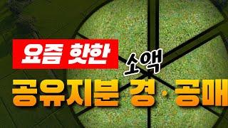 부동산 공유지분 경매 · 공매 투자  | ﻿법무법인 효현 김재권 변호사 | 공유물분할소송, 경매분할판결