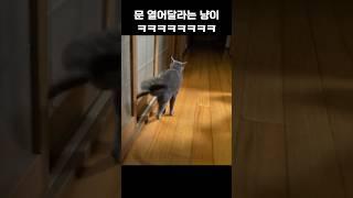 문 열어량