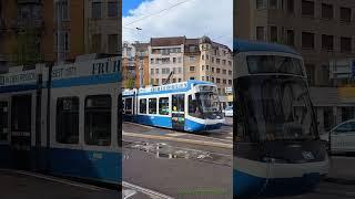 Tram Haltestelle Zürich Albisriederplatz | Stadt Zürich | Schweiz 2024