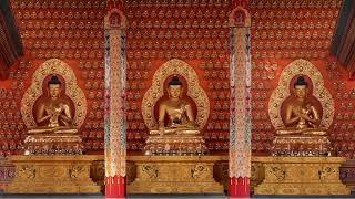 Inauguration and Opening Ceremony of the Pal Thubten Shedrub Ling Monastery in Lumbini- 2024! Day 2