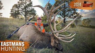 Win The Elk Lottery! GIANT Colorado Bull | Eastmans' Hunting TV