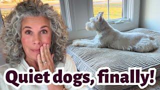 Cheap, Easy, and It WORKS – How I Stopped My Dogs From Barking!