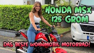 Honda MSX 125 Grom I das BESTE Wohnmobil Motorrad