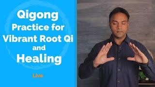 Qigong Practice for Vibrant Root Qi and healing