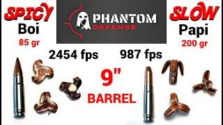 BEST 300BLK Ammo for Hunting and Defense? - Phantom Defense 300BLK