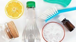 Toxin-Free Home: Simple Swaps for a Healthier Home