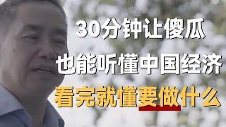 30分钟让傻瓜也能看懂中国经济，看完就明白自己要做什么了！《十三邀S4 ThirteenTalks》 #许知远#十三邀