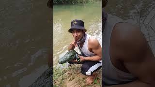 Fake alligator prank Prank Hub Tv