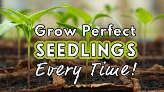 Seed Starting Success: Sow Like a Pro! 