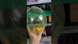 칼라풍선