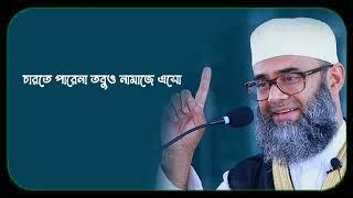 Golam sarwar saide WhatsApp status ।।bangla waz।।Islamic short video