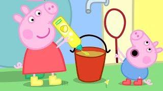 Peppa Pig and George Pig Play With Bubbles | Peppa Pig Official Family Kids Cartoon