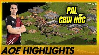 PALMYRAN CÓ HỐC? Lạc đà đông như dòi…| AoE Highlights #aoe