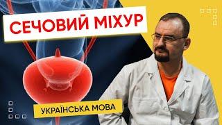 8. Сечовий міхур людини - інформація від доктора Голода​