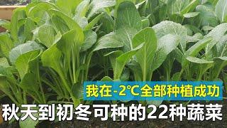 22种可在秋天到初冬种植的蔬菜 22 kinds of cold hardy vegetables that can be grown from fall to early winter