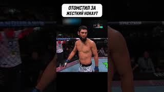 Чимаев ОТОМСТИЛ за ДАГЕСТАНЦА #мма