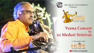 Veena Concert by Sri Meduri Srinivas || HTAMF 2023