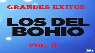 25 GRANDES EXITOS - VOL.2