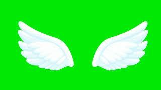 Wings green screen