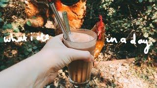 WHAT I ATE WHEN FEELIN' MEH  (VEGAN)