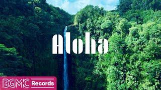 Hawaiian Music for Nature Lovers | Aloha Sounds in a Tropical Paradise