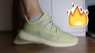 ADIDAS YEEZY BOOST 350 V2 ANTLIA *EUROPE EXCLUSIVE* REVIEW/ON-FEET