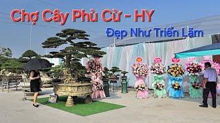 TRƯNG BÀY CÂY CẢNH & RA MẮT CHỢI CÂY PHÙ CỪ với gần 300 TP .