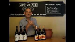 Wine Village Hermanus: Painted Wolf Wines