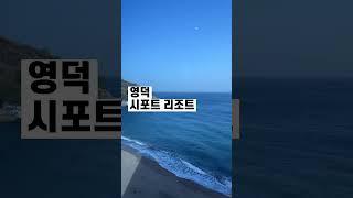 가성비 오션뷰 숙소 끝판왕 | 영덕, 포항 펜션 리조트 추천