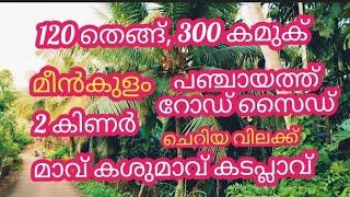 #തോട്ടം വില്പനയ്ക്ക് തെങ്ങ് കവുങ്ങ് മീൻ കുളം കിണർ etc,,, #youtubevideo #realestate #youtubeshorts 