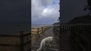 와온 해변에서 유익종 이연