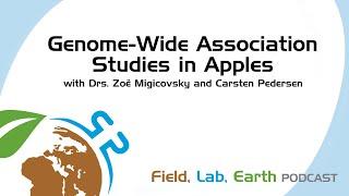 Genome-Wide Association in Apples w Drs Zoë Migicovsky & Carsten Pedersen | Field, Lab, Earth #26