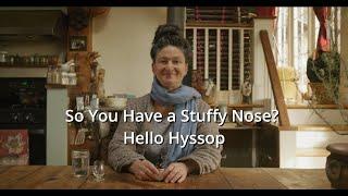 So You Have A Stuffy Nose? Hello Hyssop!