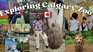 CANADA VLOG: Spend the day with us at the Calgary Zoo| Summer vlog Calgary Alberta |Explore with us