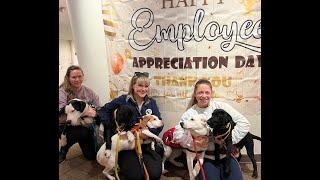 Lucky Dog Refuge Visits Connoisseur Media for Employee Appreciation Day with Available Dogs!