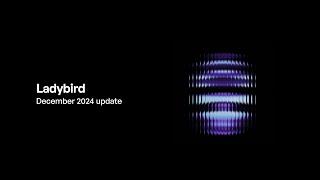 Ladybird browser update (December 2024)