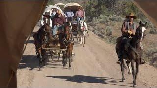 The Reno Rodeo Wagon Train!