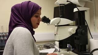 Working in a lab | University of Sussex International Study Centre