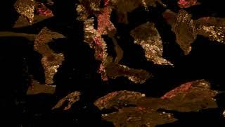 Floating Gold - 1 hour - slow tv - moving art - trippy - background - wallpaper 120fps