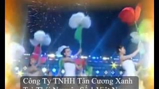 Trà Bắc Thái Nguyên - http://tancuongxanh.vn/