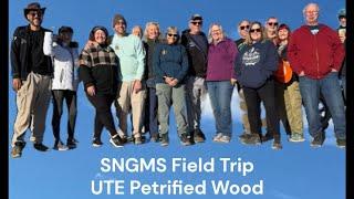 @SNGemMineralSociety UTE Petrified Wood Field Trip ️ Nov 16, 2024